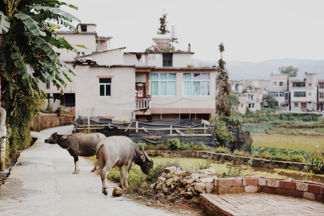 The Twelve Manor•Terraces Lodge Yuanyang  Buitenkant foto